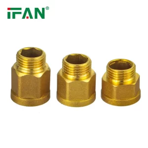 IFAN 01 Brass Fittings Adaptor