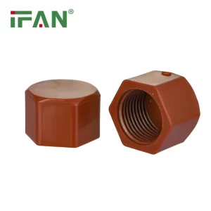 IFAN OEM ODM Hot Sale IPS PPH Fitting End Cap