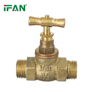 IFAN Customization brass gate valve